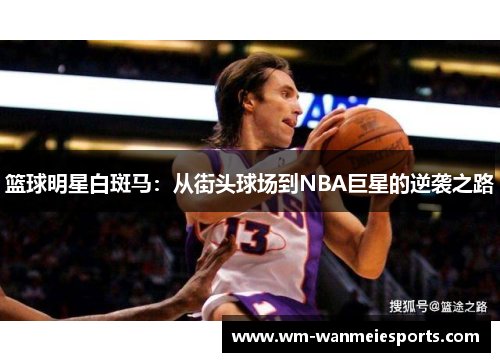 篮球明星白斑马：从街头球场到NBA巨星的逆袭之路